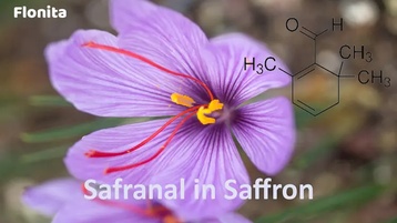 Quantify-safranal-in-saffron-by-relative-molar-sensitivity-method-using-gas-chromatography